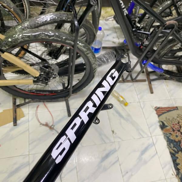 Spring Ridged Fork