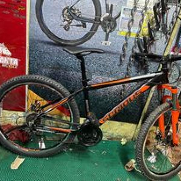 Serious Rockville Bicycle