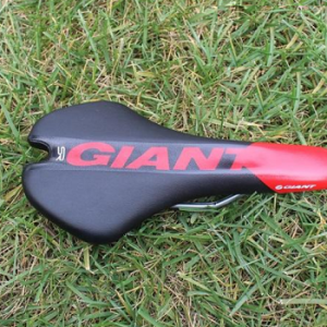 Giant Saddle